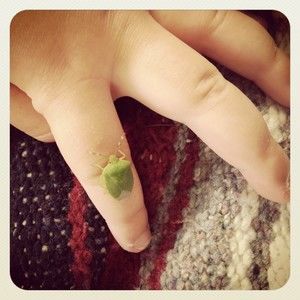 Meet your Posher, Jessica